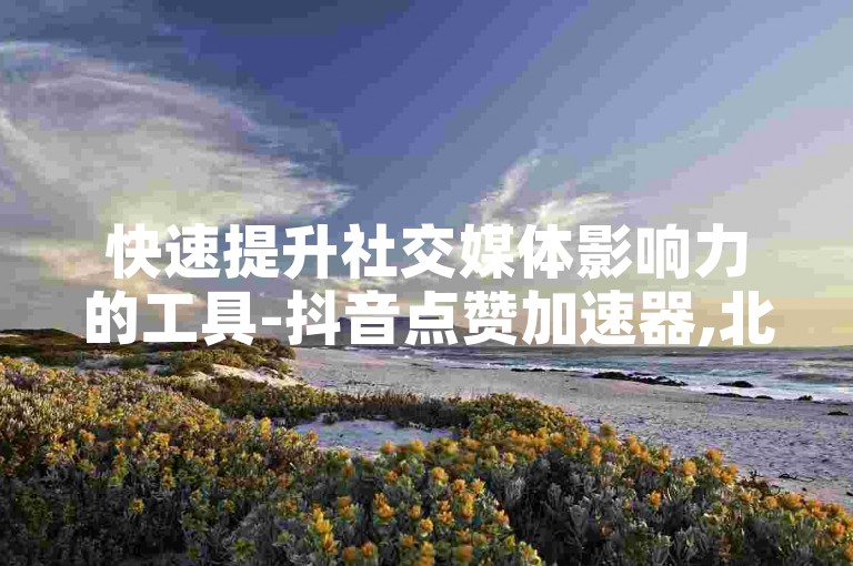 快速提升社交媒体影响力的工具-抖音点赞加速器,北葵自助服务系统。