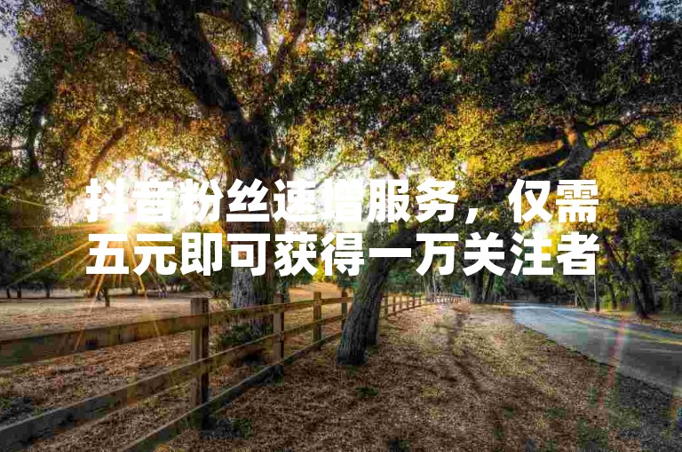 抖音粉丝速增服务，仅需五元即可获得一万关注者。