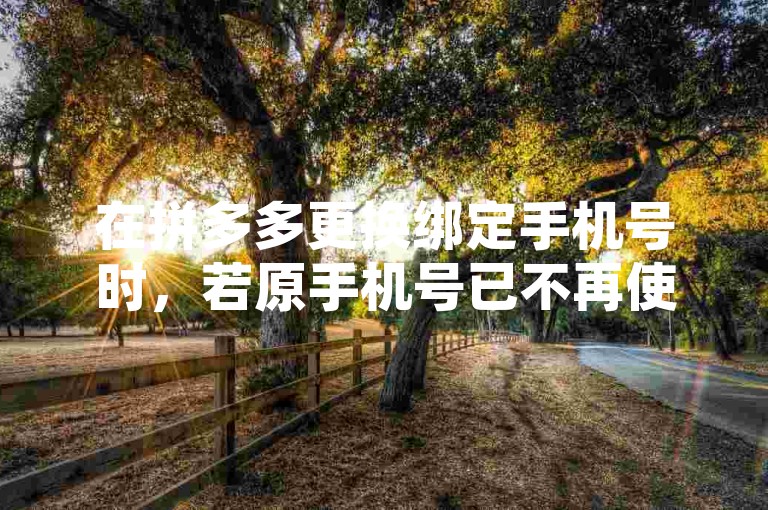 在拼多多更换绑定手机号时，若原手机号已不再使用，可寻求他人助力完成换绑操作。