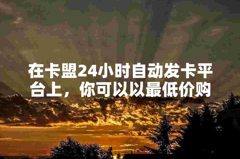 在卡盟24小时自动发卡平台上，你可以以最低价购买QQ业务，甚至可以用一块钱充10个抖币，同时还能享受到快手1元3000粉丝不掉粉的服务。