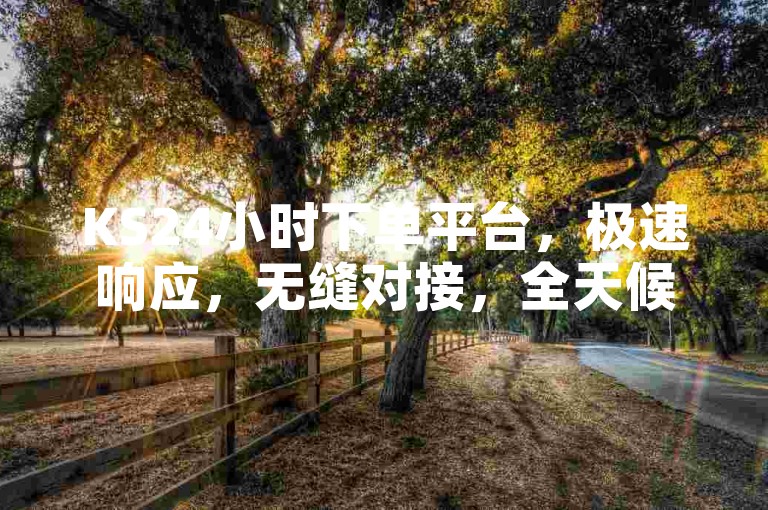 KS24小时下单平台，极速响应，无缝对接，全天候服务保障。