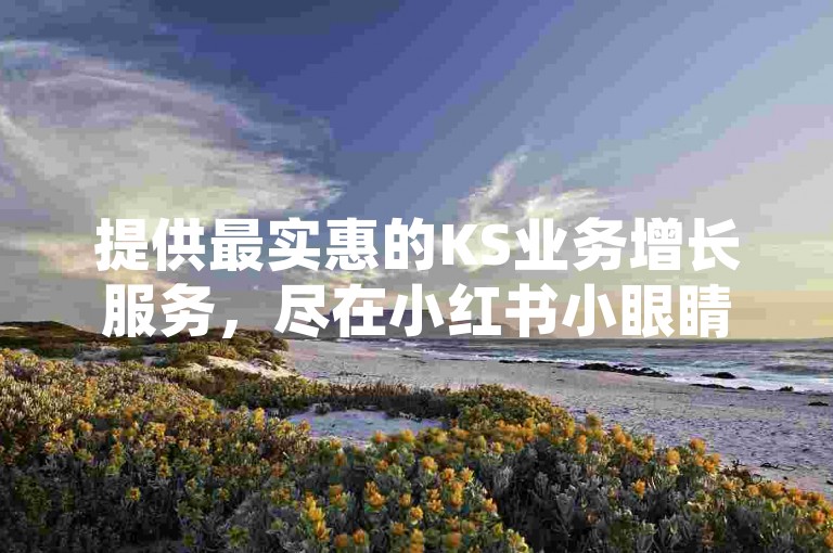 提供最实惠的KS业务增长服务，尽在小红书小眼睛平台。