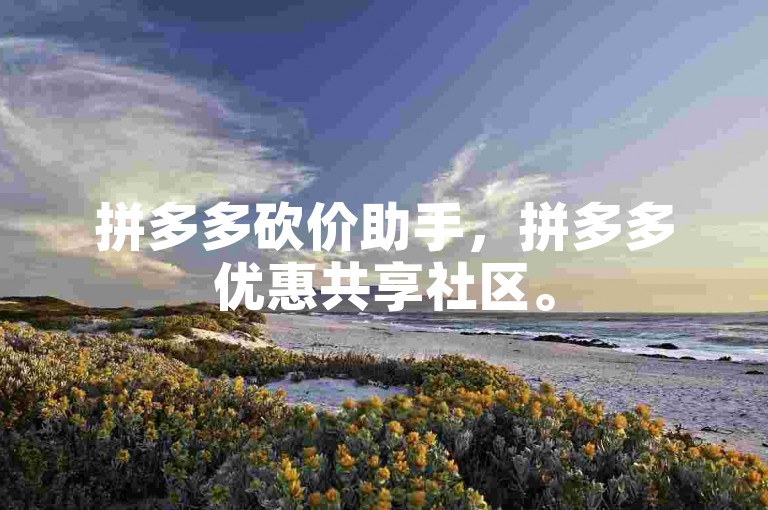 拼多多砍价助手，拼多多优惠共享社区。