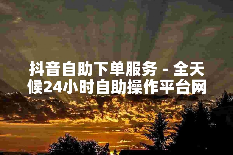 抖音自助下单服务 - 全天候24小时自助操作平台网站