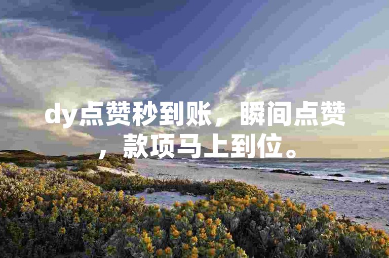 dy点赞秒到账，瞬间点赞，款项马上到位。