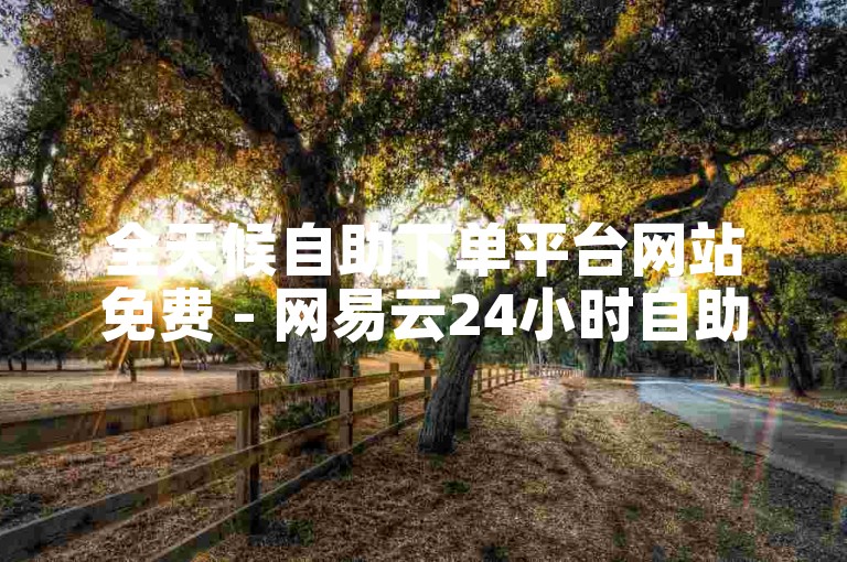 全天候自助下单平台网站免费 - 网易云24小时自助下单服务。