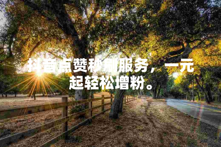 抖音点赞秒刷服务，一元起轻松增粉。