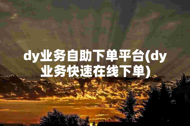 dy业务自助下单平台(dy业务快速在线下单)