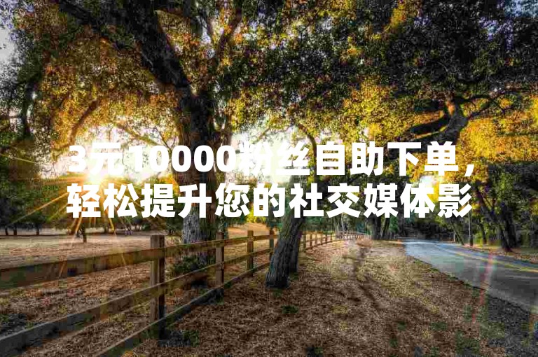 3元10000粉丝自助下单，轻松提升您的社交媒体影响力，让更多人关注您。