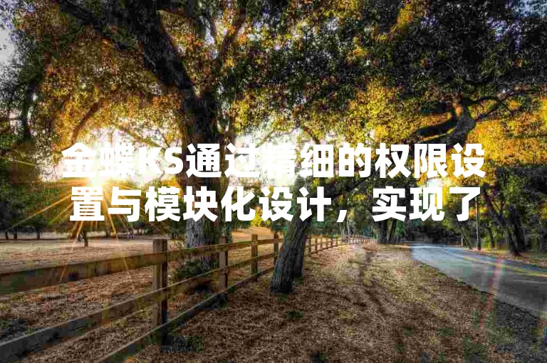 金蝶KS通过精细的权限设置与模块化设计，实现了财务和业务的分离管理。
