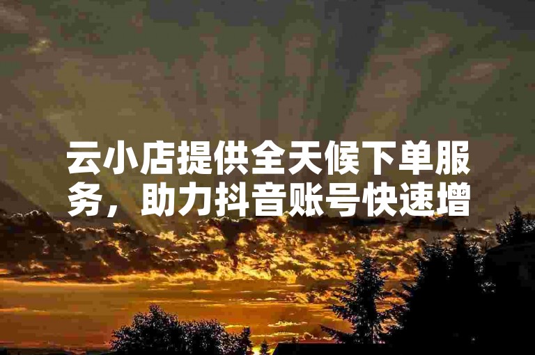 云小店提供全天候下单服务，助力抖音账号快速增长真实活跃粉丝。