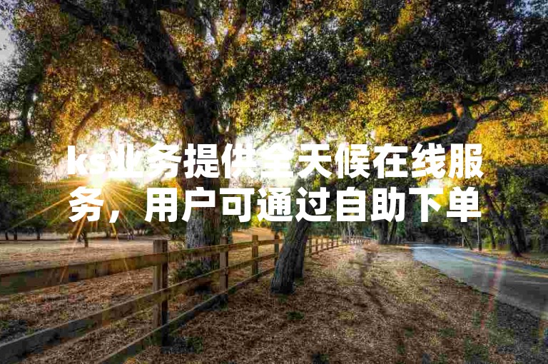 ks业务提供全天候在线服务，用户可通过自助下单系统轻松完成操作。