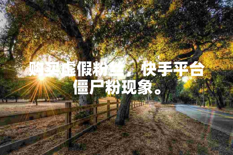 购买虚假粉丝，快手平台僵尸粉现象。