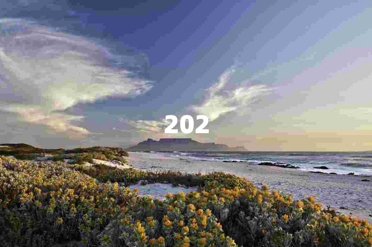 2025年拼多多微信砍价互助小组，助力新人快速成长。