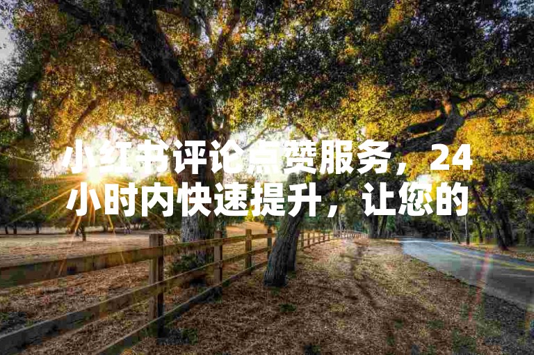 小红书评论点赞服务，24小时内快速提升，让您的赞数飞速增长。
