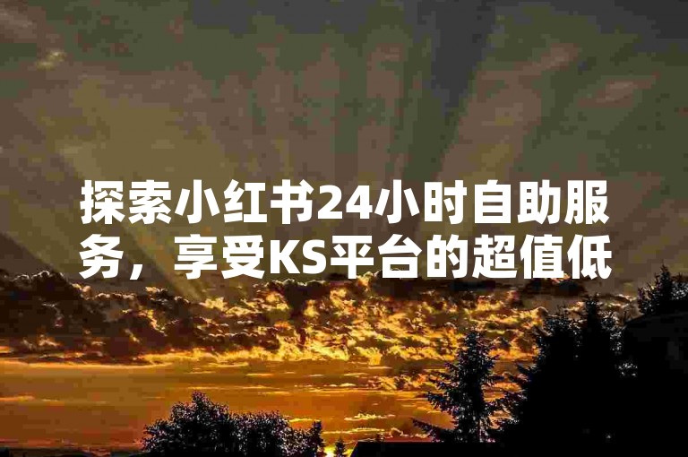 探索小红书24小时自助服务，享受KS平台的超值低价体验。