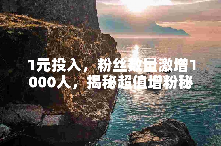 1元投入，粉丝数量激增1000人，揭秘超值增粉秘籍！2025年必备技巧。