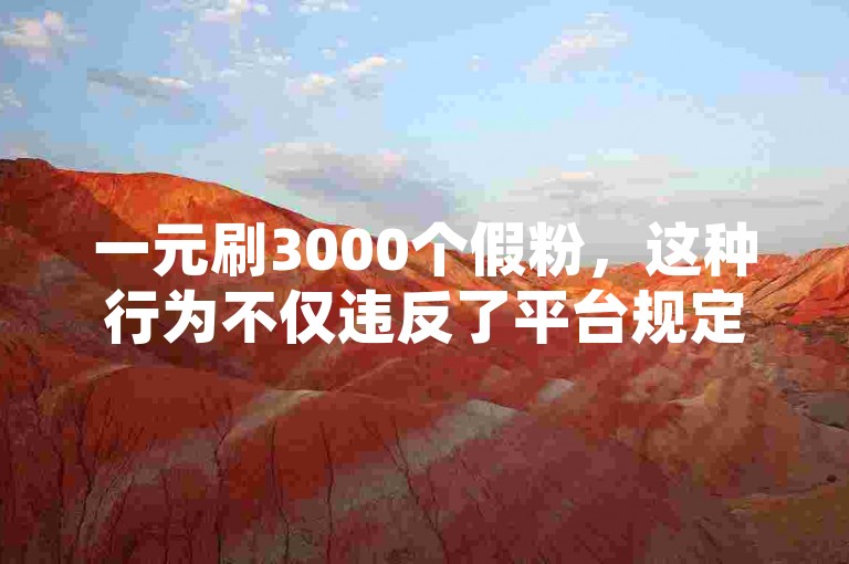 一元刷3000个假粉，这种行为不仅违反了平台规定，也破坏了网络生态的公平性。