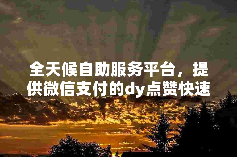 全天候自助服务平台，提供微信支付的dy点赞快速业务。