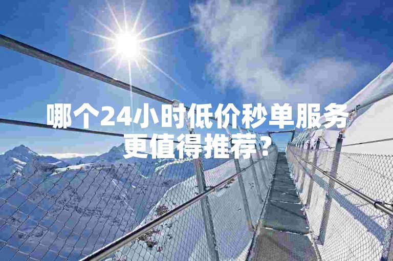 哪个24小时低价秒单服务更值得推荐？