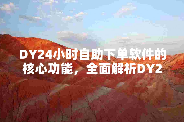 DY24小时自助下单软件的核心功能，全面解析DY24小时智能自助下单平台，新手必读指南！