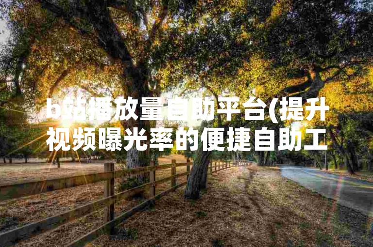 b站播放量自助平台(提升视频曝光率的便捷自助工具)