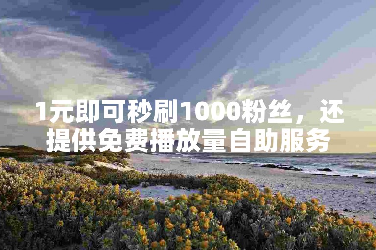 1元即可秒刷1000粉丝，还提供免费播放量自助服务。