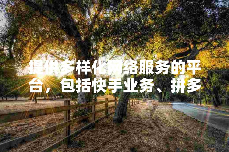 提供多样化网络服务的平台，包括快手业务、拼多多关注以及抖音播放量提升等。