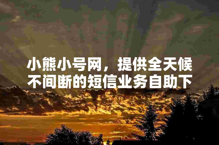 小熊小号网，提供全天候不间断的短信业务自助下单服务。