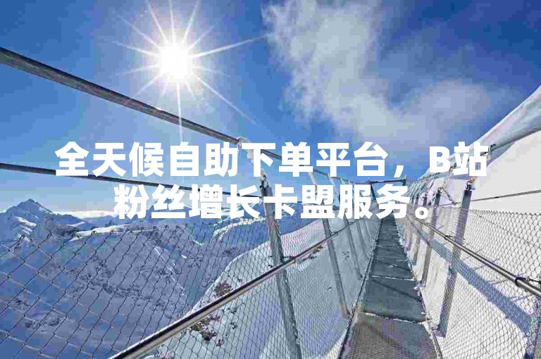 全天候自助下单平台，B站粉丝增长卡盟服务。