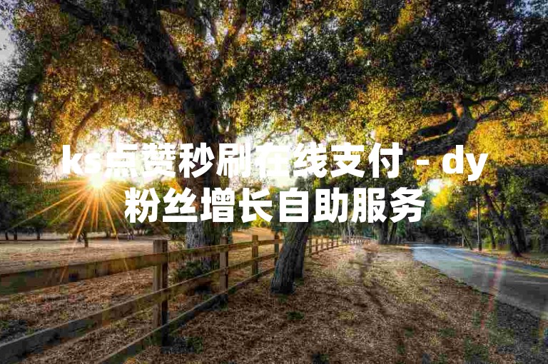 ks点赞秒刷在线支付 - dy粉丝增长自助服务