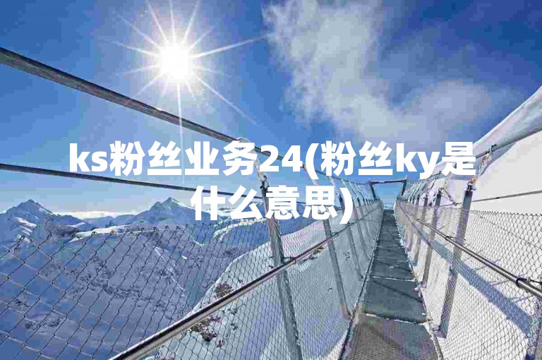 ks粉丝业务24(粉丝ky是什么意思)