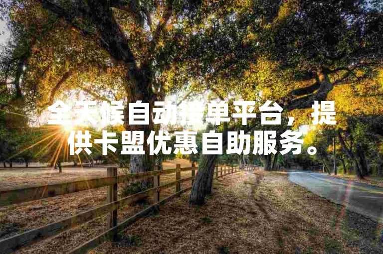全天候自动接单平台，提供卡盟优惠自助服务。