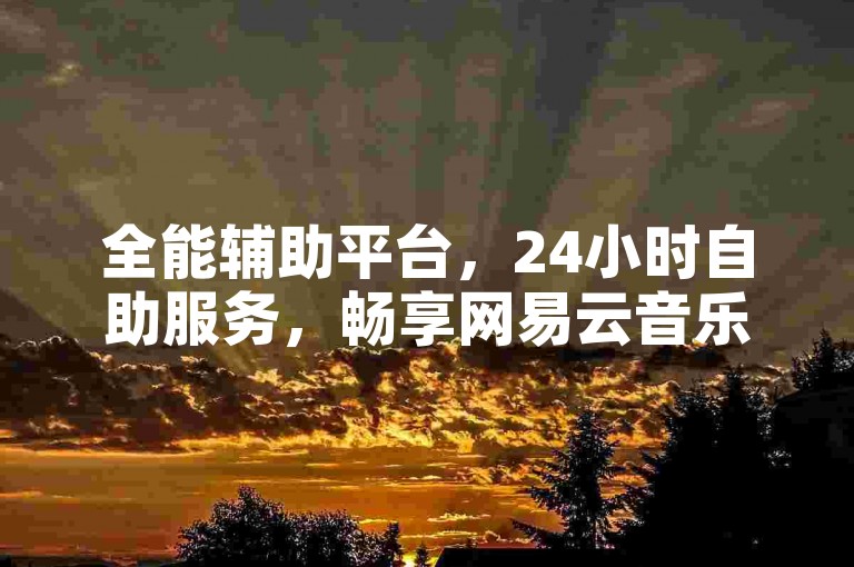 全能辅助平台，24小时自助服务，畅享网易云音乐无限畅听。
