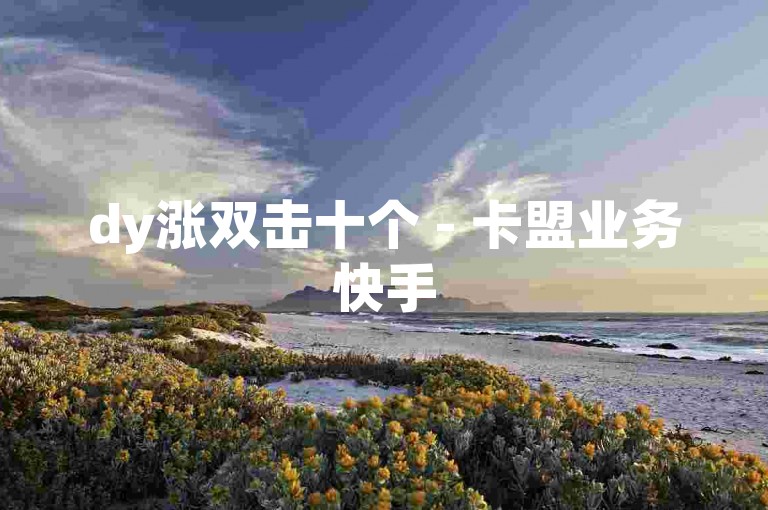 dy涨双击十个 - 卡盟业务快手
