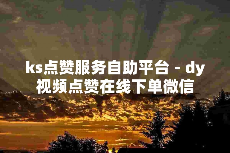 ks点赞服务自助平台 - dy视频点赞在线下单微信