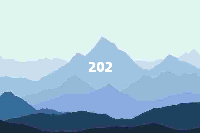 2025年，拼多多在QQ群的推广下实现了显著的用户增长和市场影响力。