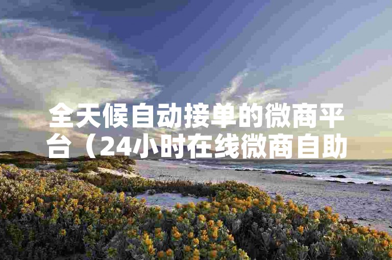 全天候自动接单的微商平台（24小时在线微商自助下单服务系统）