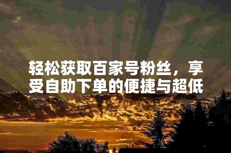 轻松获取百家号粉丝，享受自助下单的便捷与超低价优惠。