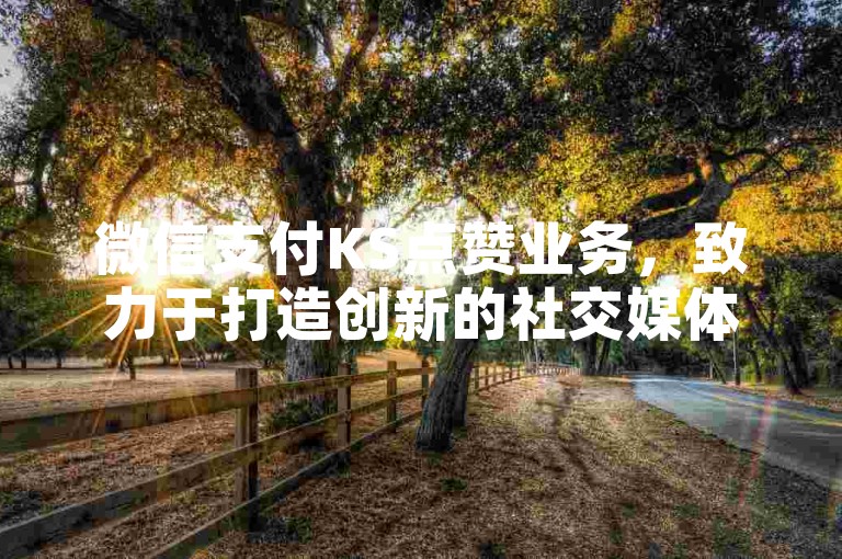 微信支付KS点赞业务，致力于打造创新的社交媒体营销策略，助力品牌实现快速用户拓展。