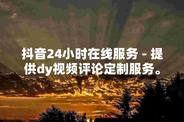 抖音24小时在线服务 - 提供dy视频评论定制服务。