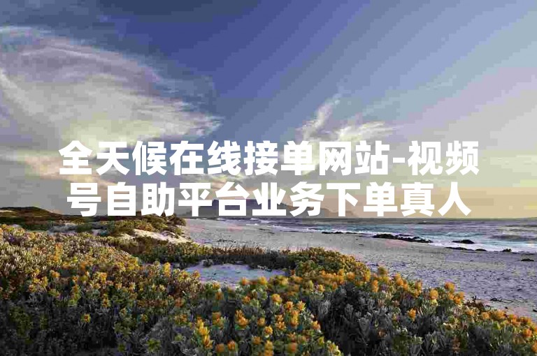 全天候在线接单网站-视频号自助平台业务下单真人
