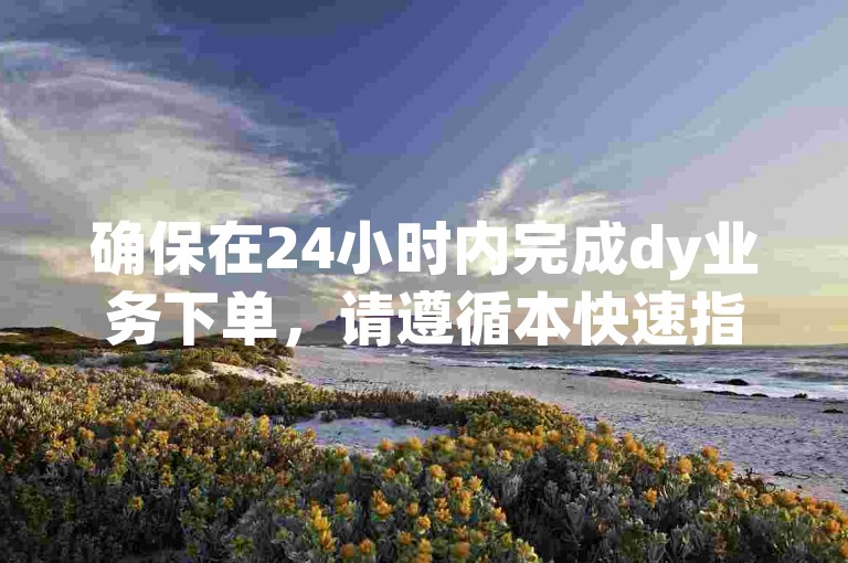 确保在24小时内完成dy业务下单，请遵循本快速指南。