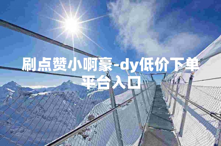 刷点赞小啊豪-dy低价下单平台入口
