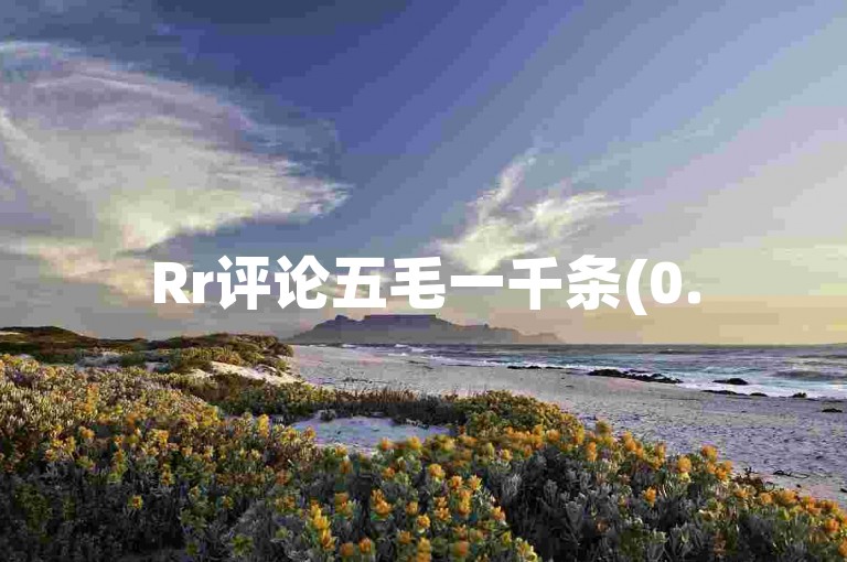 Rr评论五毛一千条(0.5元一千评)