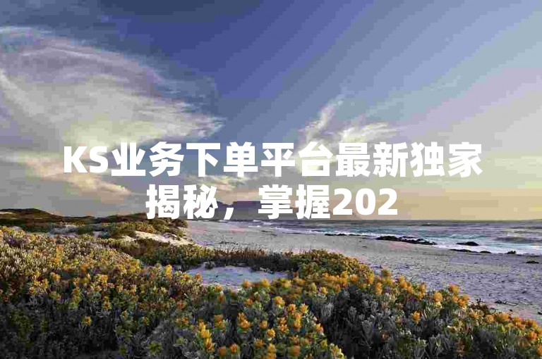 KS业务下单平台最新独家揭秘，掌握2025年必备技能，获取平台最新资讯！