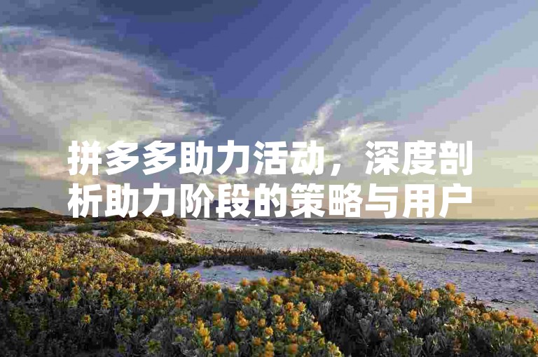 拼多多助力活动，深度剖析助力阶段的策略与用户行为洞察。