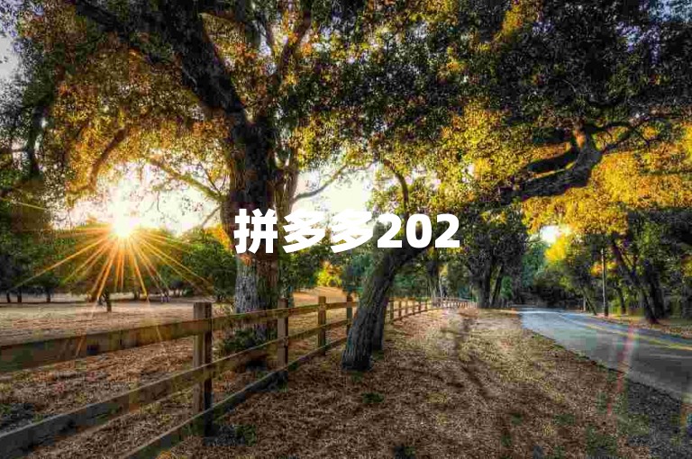 拼多多2025免费砍价微信群，助力PDD砍价平台。