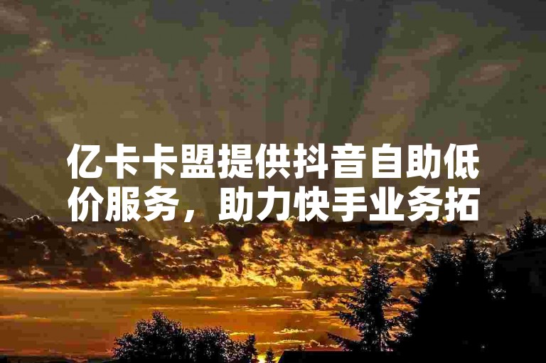 亿卡卡盟提供抖音自助低价服务，助力快手业务拓展新领域。
