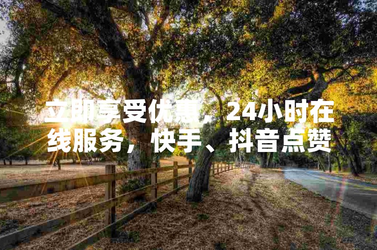 立即享受优惠，24小时在线服务，快手、抖音点赞，极速下单体验！